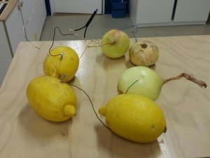 Bananalama                             Россия ,                                                                            Санкт-Петербург
                            ,                        