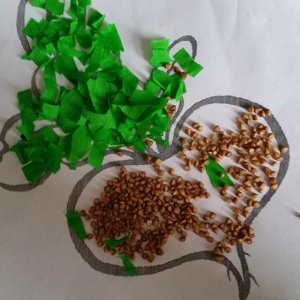 БАРМАЛЕЙКИН                             Россия ,                                                                            Санкт-Петербург
                            ,                        