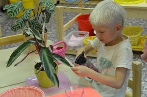 Акварель                             Россия ,                                                                            Санкт-Петербург
                            ,                        