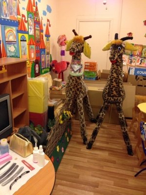 РОСТ                             Россия ,                                                                            Санкт-Петербург
                            ,                        