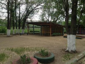 Детский сад №222 комбинированного вида                             Россия ,                                                                            Саратов
                            ,                        