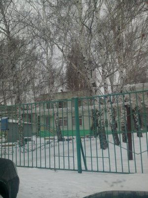 Детский сад №196. &laquo;Берёзка&raquo;                             Россия ,                                                                            Саратов
                            ,                        