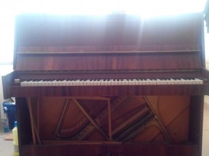 Средняя общеобразовательная школа №4                             Россия ,                                                                            Сочи
                            ,                        