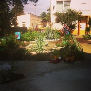 Детский сад №109 комбинированного вида                             Россия ,                                                                            Сочи
                            ,                        