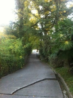 Детский сад №14                             Россия ,                                                                            Сочи
                            ,                        