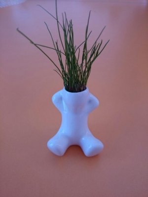 Дэни клуб                             Россия ,                                                                            Ставрополь
                            ,                        