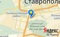 Медвежонок                             Россия ,                                                                            Ставрополь
                            ,                        