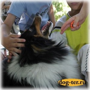 Kinos-Студия                             Россия ,                                                                            Ставрополь
                            ,                        