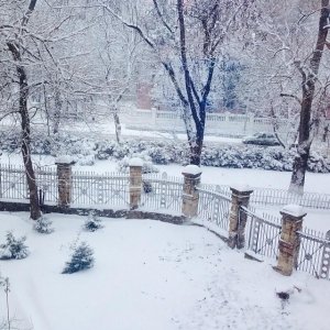 Гимназия №3                             Россия ,                                                                            Ставрополь
                            ,                        