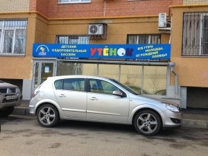 Утенок                             Россия ,                                                                            Ставрополь
                            ,                        