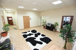 7 гномов                             Россия ,                                                                            Нефтеюганск
                            ,                        