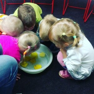 Ромашка                             Россия ,                                                                            Сыктывкар
                            ,                        