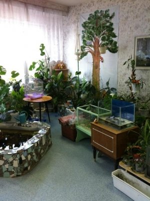 Центр развития ребенка-детский сад №87                             Россия ,                                                                            Сыктывкар
                            ,                        