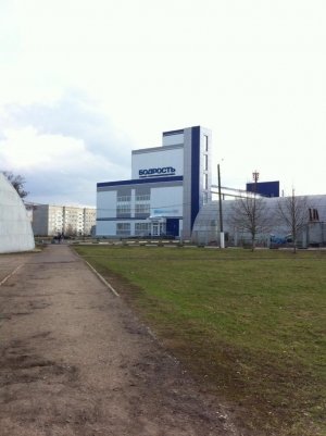 Бодрость                             Россия ,                                                                            Тамбов
                            ,                        