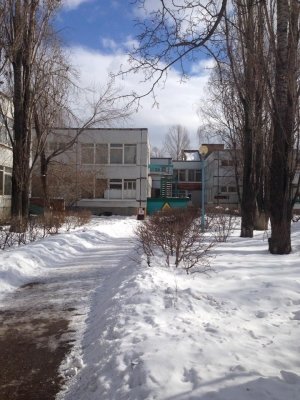 Радость                             Россия ,                                                                            Тольятти
                            ,                        