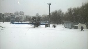 Средняя общеобразовательная школа №21 с углубленным изучением отдельных предметов                             Россия ,                                                                            Тольятти
                            ,                        