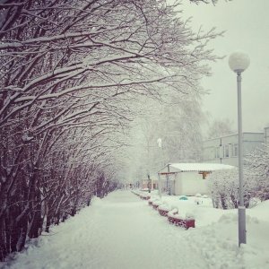 Детский сад №171. &laquo;Крепыш&raquo;                             Россия ,                                                                            Тольятти
                            ,                        