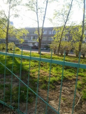 Гимназия №29                             Россия ,                                                                            Томск
                            ,                        