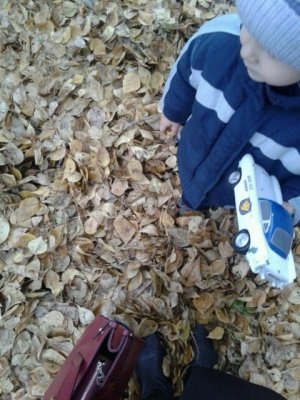 Детский сад №89 общеразвивающего вида                             Россия ,                                                                            Томск
                            ,                        