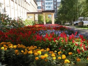 Средняя общеобразовательная школа №34                             Россия ,                                                                            Томск
                            ,                        