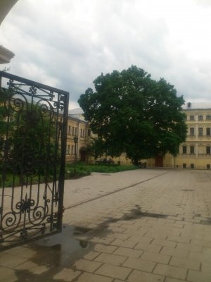 Лицей                             Россия ,                                                                            Тула
                            ,                        