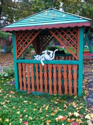 Крепыш                             Россия ,                                                                            Тула
                            ,                        