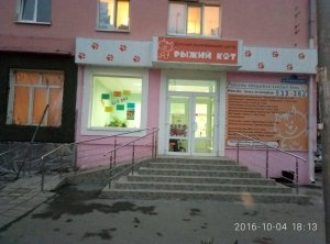 Рыжий кот                             Россия ,                                                                            Тюмень
                            ,                        