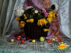 Солнечный луч                             Россия ,                                                                            Тюмень
                            ,                        