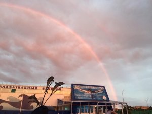 Альбатрос                             Россия ,                                                                            Армавир
                            ,                        