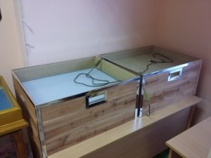 Психология счастья                             Россия ,                                                                            Улан-Удэ
                            ,                        