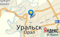 Дельфин                             Россия ,                                                                            Уральск
                            ,                        