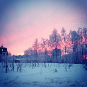 Специальная (коррекционная) общеобразовательная школа №31                             Россия ,                                                                            Архангельск
                            ,                        