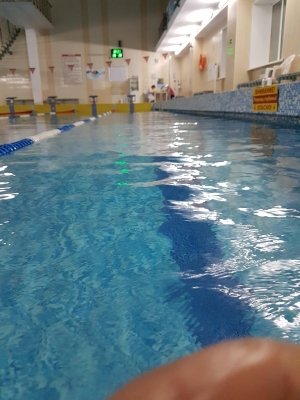 Чайка                             Россия ,                                                                            Уссурийск
                            ,                        