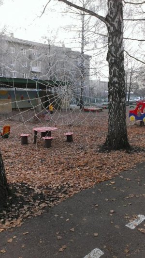 Детский сад №84                             Россия ,                                                                            Уфа
                            ,                        