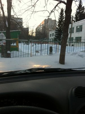 Детский сад №169                             Россия ,                                                                            Уфа
                            ,                        