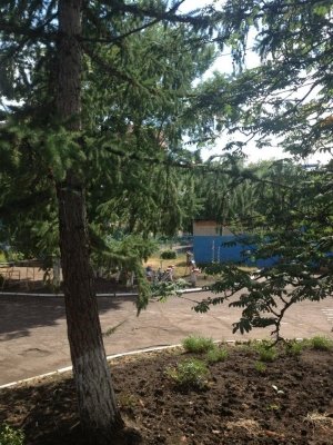 Детский сад №216                             Россия ,                                                                            Уфа
                            ,                        