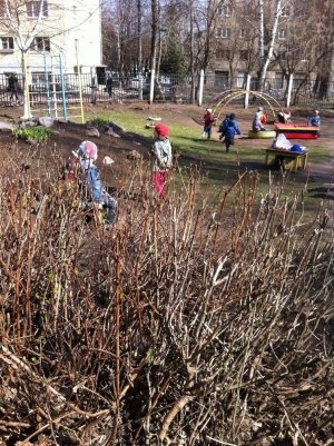 Детский сад №232                             Россия ,                                                                            Уфа
                            ,                        