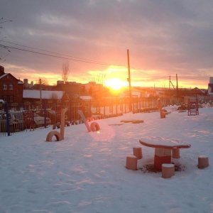 Ромашка                             Россия ,                                                                            Михайловка
                            ,                        