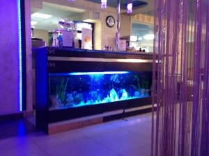 Наутилус                             Россия ,                                                                            Хабаровск
                            ,                        