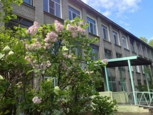 Гимназия №1                             Россия ,                                                                            Хабаровск
                            ,                        