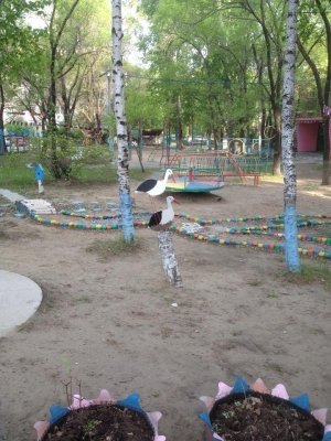 Детский сад №35                             Россия ,                                                                            Хабаровск
                            ,                        