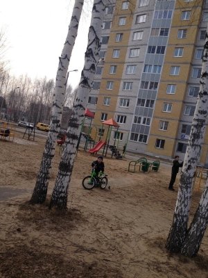 Всезнайка                             Россия ,                                                                            Чебоксары
                            ,                        