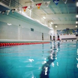 Строитель                             Россия ,                                                                            Северодвинск
                            ,                        