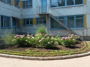 Детский сад №3. &laquo;Маленькая страна&raquo;                             Россия ,                                                                            Чебоксары
                            ,                        