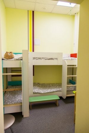 Фонтан                             Россия ,                                                                            Челябинск
                            ,                        