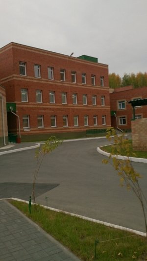 Детский сад №100                             Россия ,                                                                            Челябинск
                            ,                        