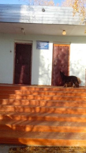 Детский сад №43. &laquo;Улыбка&raquo;                             Россия ,                                                                            Якутск
                            ,                        