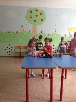 Детский сад №77. &laquo;Сказка&raquo;                             Россия ,                                                                            Якутск
                            ,                        