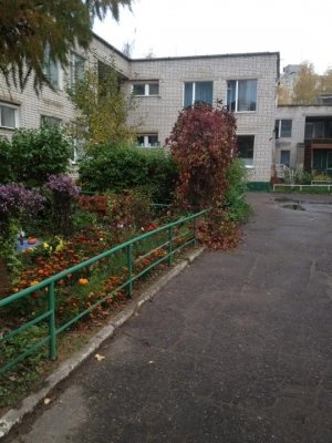 Детский сад №56                             Россия ,                                                                            Ярославль
                            ,                        