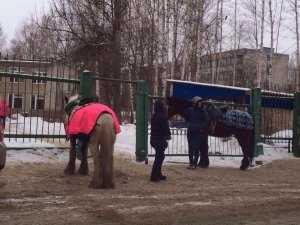 Детский сад №19                             Россия ,                                                                            Ярославль
                            ,                        